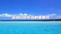 深圳白蚁防治的重要性