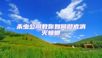 杀虫公司教你如何彻底消灭蟑螂