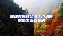 深圳灭白蚁公司上门治白蚁是怎么收费的