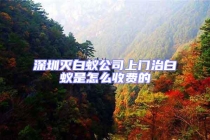 深圳灭白蚁公司上门治白蚁是怎么收费的