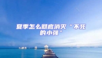 夏季怎么彻底消灭“不死的小强”
