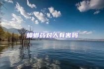 蟑螂药对人有害吗