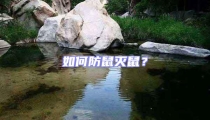 如何防鼠灭鼠？