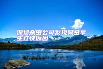 深圳杀虫公司发现臭虫孳生过快原因