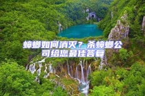 蟑螂如何消灭？杀蟑螂公司给您最佳答复