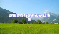 深圳家有白蚁怎么办.找虫害