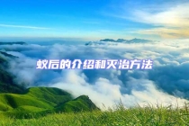 蚁后的介绍和灭治方法