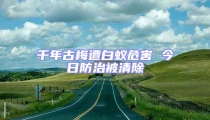 千年古梅遭白蚁危害 今日防治被清除