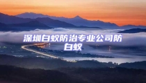 深圳白蚁防治专业公司防白蚁