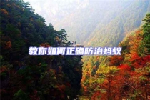 教你如何正确防治蚂蚁