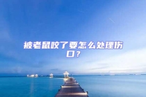 被老鼠咬了要怎么处理伤口？