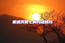 家庭灭鼠七种方法技巧