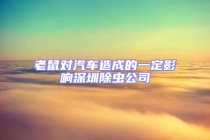 老鼠对汽车造成的一定影响深圳除虫公司