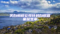 灭白蚂蚁公司针对白蚁营巢居生审