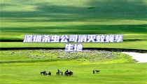 深圳杀虫公司消灭蚊蝇孳生地