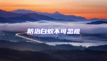 防治白蚁不可忽视