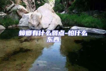 蟑螂有什么弱点-怕什么东西