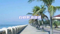白蚁防治资讯