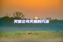 灭鼠公司灭蛆的方法