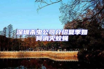 深圳杀虫公司介绍夏季如何消灭蚊蝇