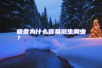 宿舍为什么容易滋生臭虫？