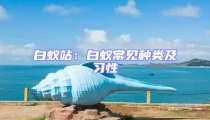 白蚁站：白蚁常见种类及习性