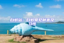 白蚁站：白蚁常见种类及习性