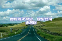如何消灭臭虫，除虫公司来帮你