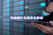 衣鱼是什么虫怎么防治