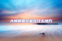 大蟑螂喜欢藏在什么地方