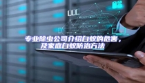 专业除虫公司介绍白蚁的危害,及家庭白蚁防治方法