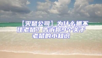 【灭鼠公司】为什么抓不住老鼠?告诉你9个关于老鼠的小知识