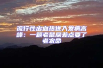 流行性出血热进入发病高峰：一颗老鼠屎差点要了老农命