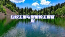 白蚁主巢与副巢的主要区别