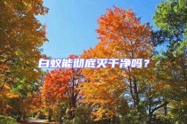 白蚁能彻底灭干净吗？