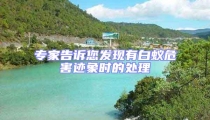专家告诉您发现有白蚁危害迹象时的处理