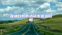 深圳白蚁防治站专业治白蚁