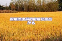 深圳除虫前后应该注意些什么