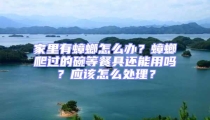 家里有蟑螂怎么办？蟑螂爬过的碗等餐具还能用吗？应该怎么处理？