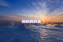 蚂蚁的危害