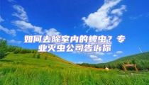 如何去除室内的蜱虫?专业灭虫公司告诉你