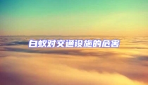 白蚁对交通设施的危害