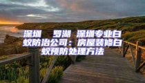 深圳  罗湖 深圳专业白蚁防治公司：房屋装修白蚁预防处理方法