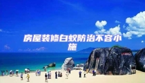房屋装修白蚁防治不容小施