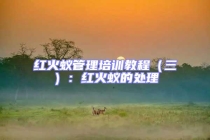 红火蚁管理培训教程（三）：红火蚁的处理