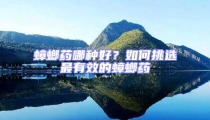 蟑螂药哪种好？如何挑选最有效的蟑螂药