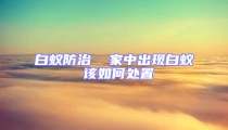 白蚁防治  家中出现白蚁 该如何处置