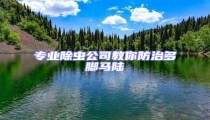 专业除虫公司教你防治多脚马陆