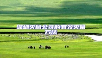 深圳灭鼠公司的有效灭鼠方法