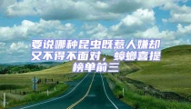 要说哪种昆虫既惹人嫌却又不得不面对,蟑螂喜提榜单前三